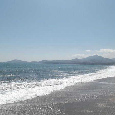 Le Belvedere 2 - Acces Direct Plage อาร์เจเลส-ซัวร์-แมร์ ภายนอก รูปภาพ